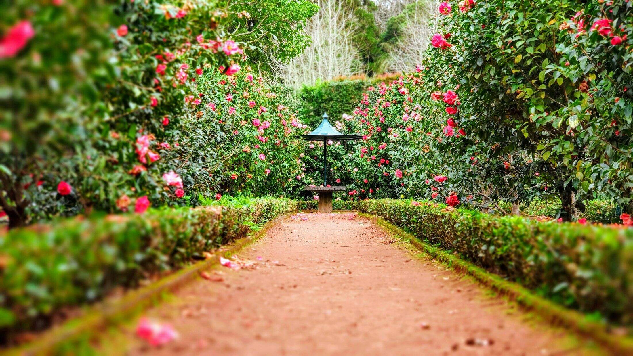 Gardens